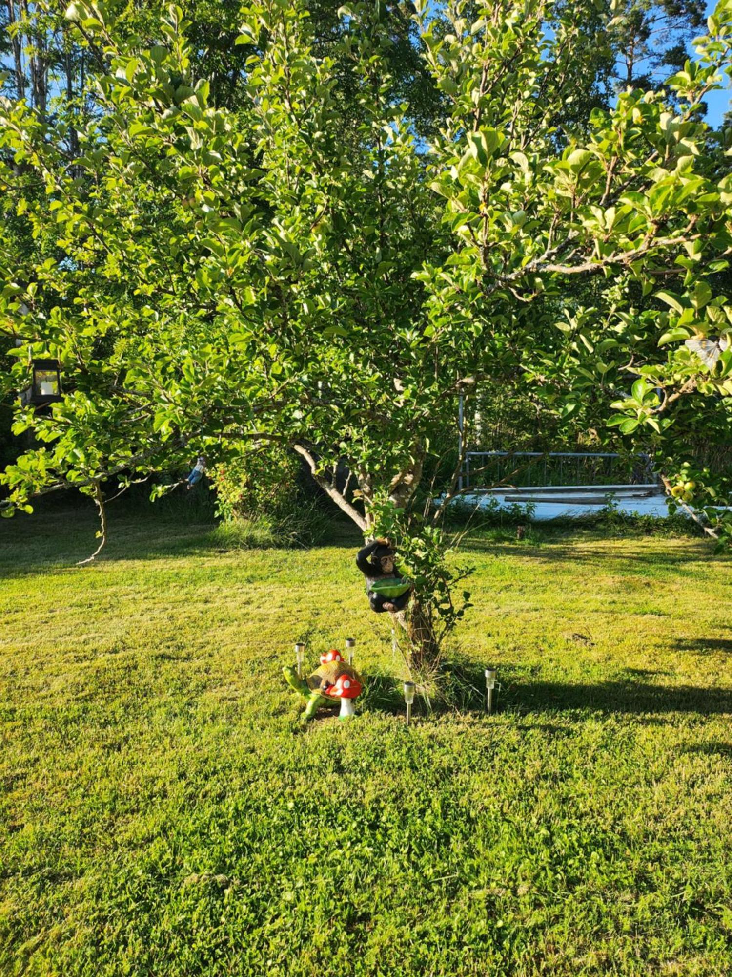 Stuga Ani Svartå Dış mekan fotoğraf